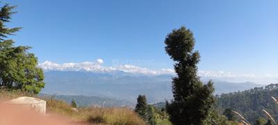 Image of 300 Sq.ft Residential Plot / Land for sale in Kausani, Almora for Rs. 2500000