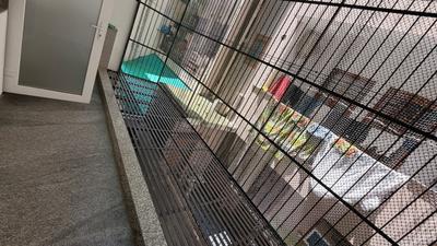 Balcony Image of 1500 Sq.ft 2 BHK Builder Floor for rent in Sector 46 Gurgaon for Rs. 50000