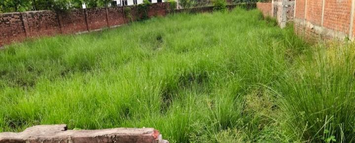Chandoli Main Image 1
