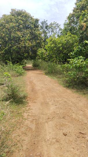 Kothavalasa Main Image 1