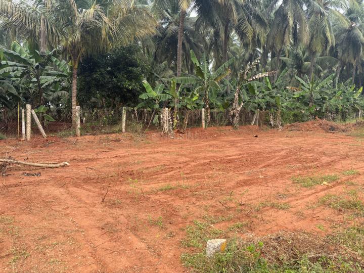 Balamurugan nagar Main Image 1