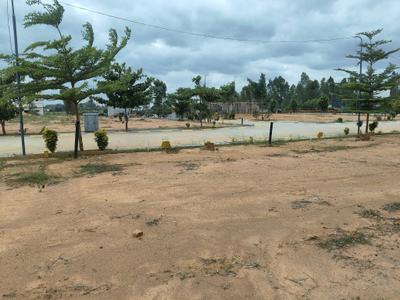 Residential Plot