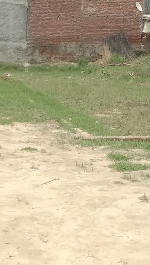 Haiderpur village Main Image 1