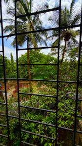 Balcony Image of 495 Sq.ft 1 RK Apartment / Flat for sale in Chembur Mumbai for Rs. 7800000