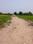 Natures Paradise Internal Roads 1