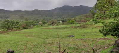 Image of 1000 Sq.ft 1 RK Farm House for sale in Khed Shivapur, Pune for Rs. 700000