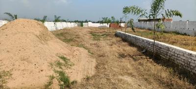 Bihta Plot View 1