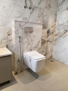 Common Bathroom Image of 1600 Sq.ft 3 BHK Builder Floor for sale in Uppal Southend, Sector 49 Gurgaon for Rs. 19000000