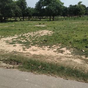 Dubagga Plot View 2