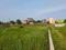 Sonargaon 2 Plot View 2