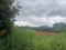 Danagalli Main Image 1