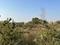 Raipur Village Main Image 1