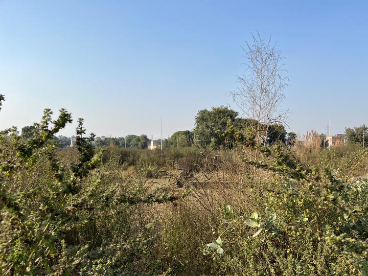 Raipur Village Main Image 1
