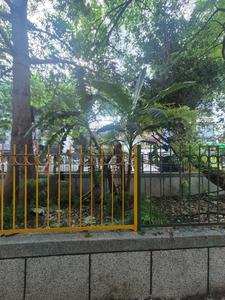 Image of 1350 Sq.ft 3 BHK Builder Floor for sale in Janakpuri, New Delhi for Rs. 21500000