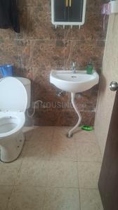 Image of 804 Sq.ft 2 BHK Apartment / Flat for rent in Amrapali Dream Valley 2, Noida Extension, Greater Noida for Rs. 16500