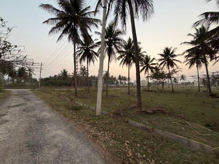 Frontline estate Main Image 1