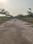 EDUCATION CITY Plot View 2