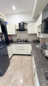 Kitchen Image of 1198 Sq.ft 3 BHK Apartment / Flat for rent in Beverly Golf Avenue, Sector 65 Mohali for Rs. 70000