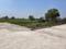 Vedantam vista Jattari near Jewar International Airport Plot View 2