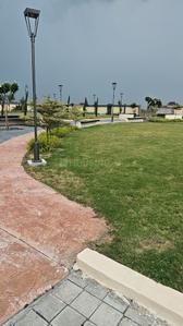 Sankalp corridor Indore  Plot View 1