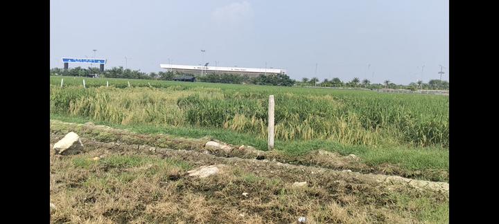 Chakeri Main Image 1