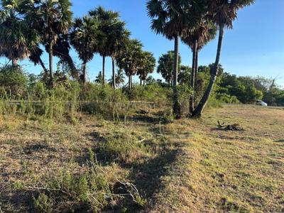 Image of 21800 Sq.ft Residential Plot / Land for sale in Tirukalukundram, Chennai for Rs. 12500000