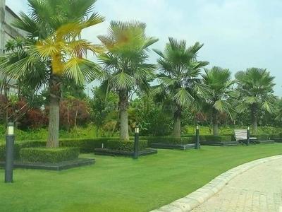 Image of 999 Sq.ft Residential Plot / Land for sale in Omaxe Phase 3 Mullanpur, New Chandigarh, Chandigarh for Rs. 15600000