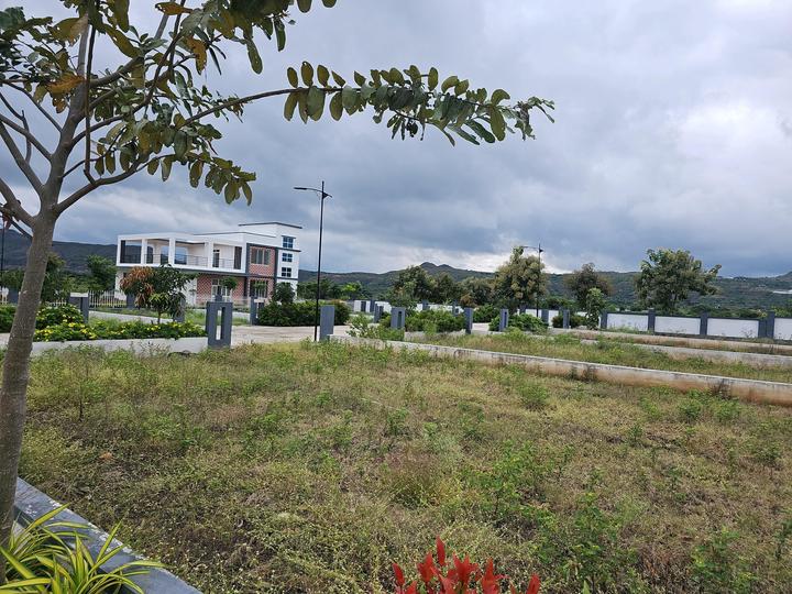 Uruli Kanchan Main Image 1