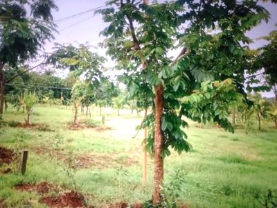 Image of 1089 Sq.ft Residential Plot / Land for sale in Ranjanpada, Navi Mumbai for Rs. 455000