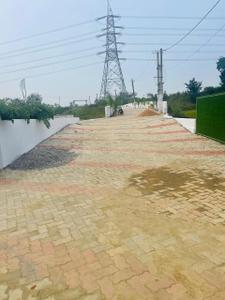 Barhu More Images 2