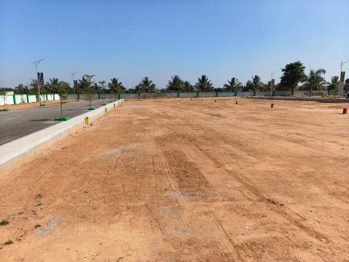 Lux Golden Valley Main Image 1