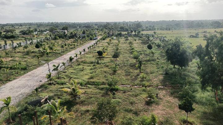Mahadevapura Main Image 1