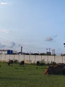 Image of 1000 Sq.ft Residential Plot / Land for sale in Kalindipuram, Allahabad for Rs. 3100000
