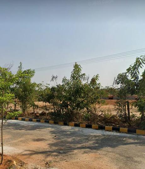 Sark Green Plains Main Image 1
