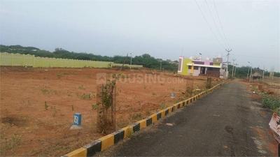 Image of 1200 Sq.ft Residential Plot / Land for sale in Panjappur, Tiruchirappalli for Rs. 1500000