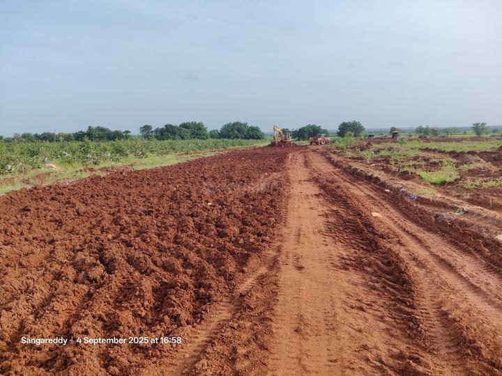 New plots Main Image 1