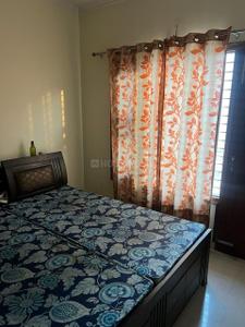 Bedroom Image of 1450 Sq.ft 2 BHK Builder Floor for rent in Sector 77 Mohali for Rs. 26000