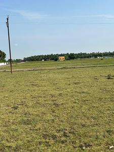 Residential Plot