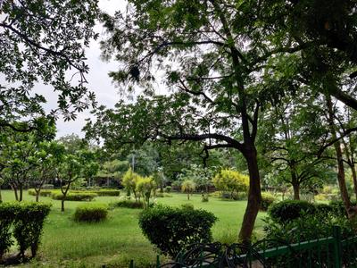 Block D Plot View 2