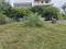 Channasandra Layout, Srinivaspura Plot View 1