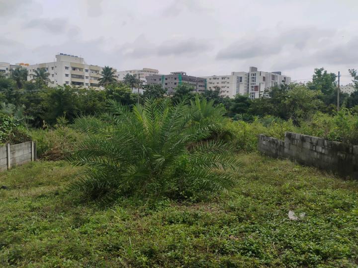 Channasandra Layout, Srinivaspura Main Image 1