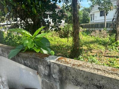 Kalathode Plot View 1