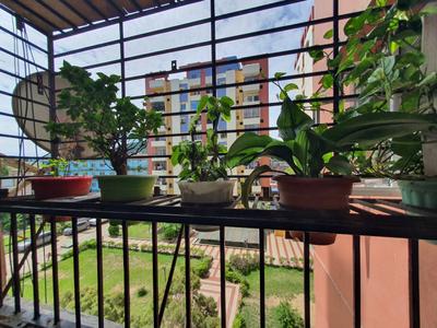 Balcony Image of 1150 Sq.ft 3 BHK Apartment / Flat for sale in Lokhra Guwahati for Rs. 6200000