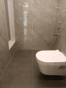 Common Bathroom Image of 1500 Sq.ft 3 BHK Apartment / Flat for sale in Dosti Greenscapes Phase 2, Hadapsar Pune for Rs. 13800000