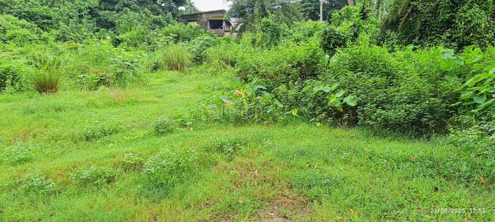 Chowhati, Rajpur Main Image 1