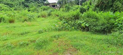 Residential Plot