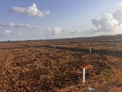 Residential Plot