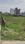 Miyawala Main Image 1