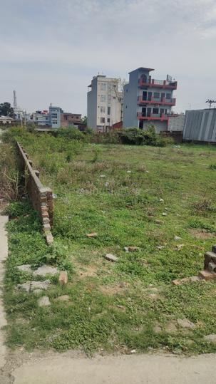 Miyawala Main Image 1