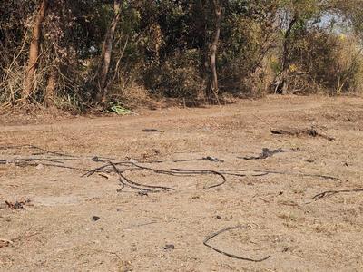 Image of 4000 Sq.ft Residential Plot / Land for sale in Deolali Camp, Devlali for Rs. 12100000